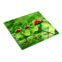 GLASPLATTE 60x52 cm Marienkäfer - Grün, Glas (60/0.4/52cm) - TULUP