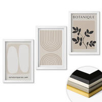 WANDBILDER 3er-Set - 20x30 cm Weißer Rahmen - Boho-Pflanzenposter - Weiß, Kunststoff (20/30cm) - ArtPrintCave