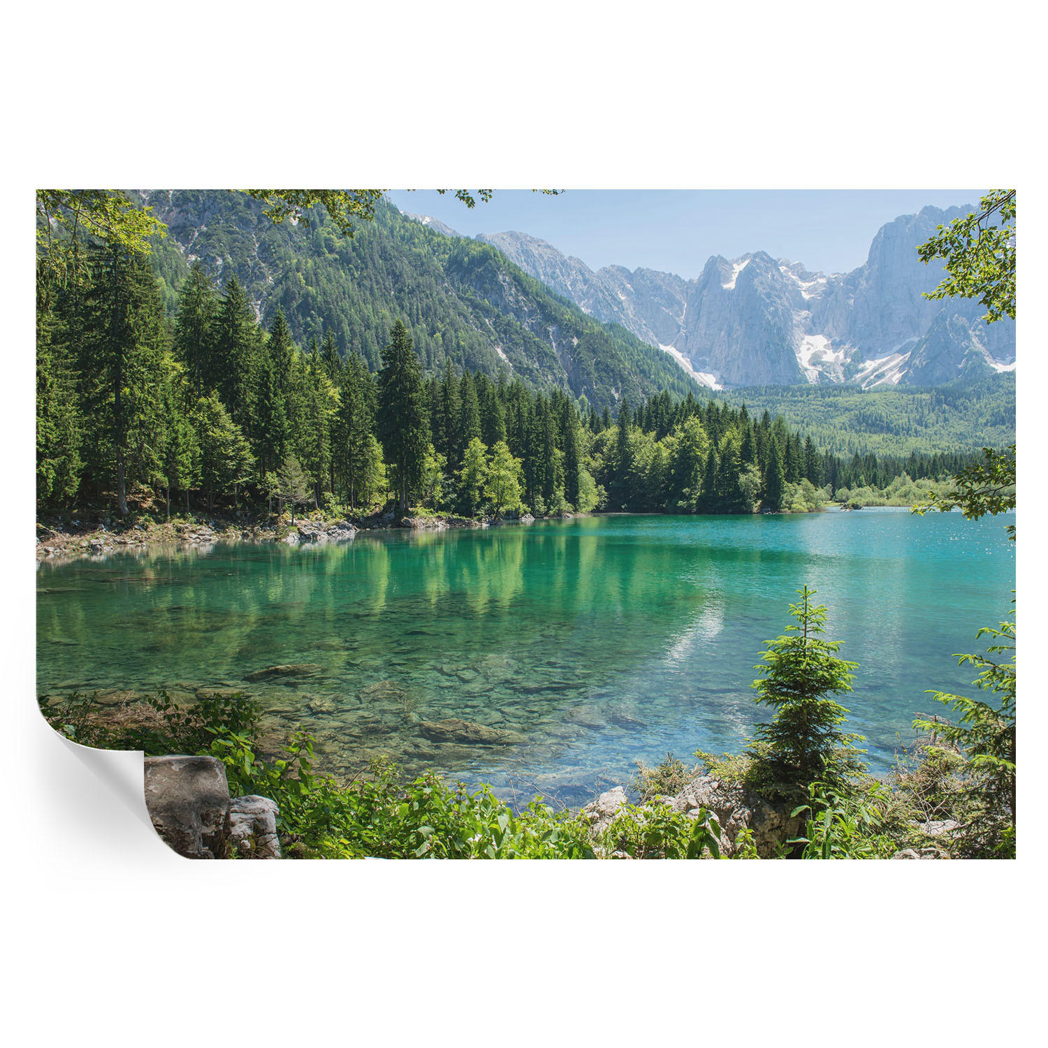 FOTOTAPETE 152x104 cm - Grüner See - Grün, Textil (152/104cm) - Wallfluent