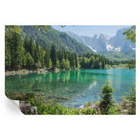 FOTOTAPETE 152x104 cm - Grüner See - Grün, Textil (152/104cm) - Wallfluent