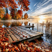 GLASBILD 50x50 cm See Steg Herbstdeko - Beige, Glas (50/50cm) - artissimo