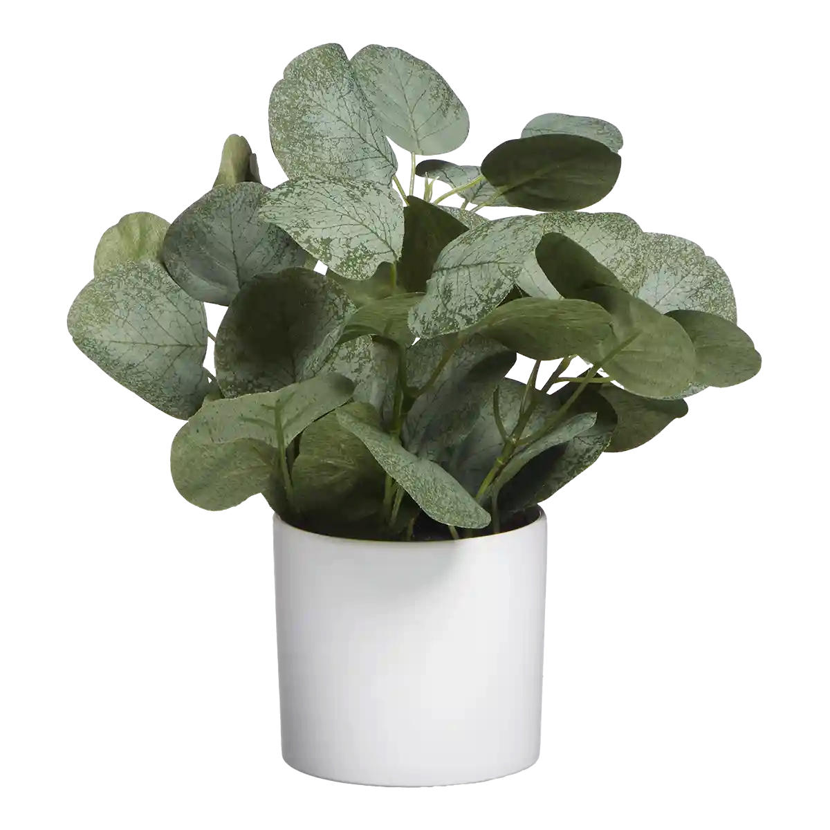 EUCALYPTUS Künstlicher Eucalyptus - Tanja 26 cm - Grün, Kunststoff (26cm) - aplanta