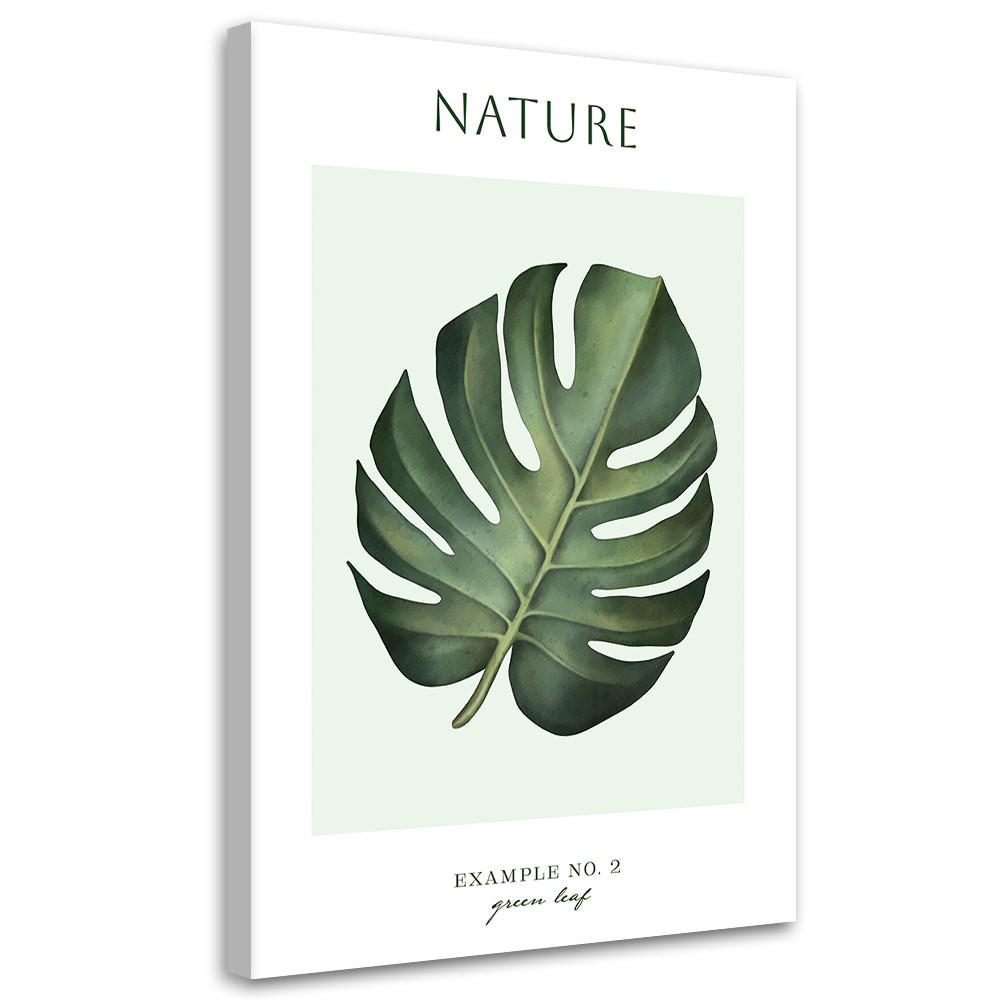 WANDBILD grünes blatt natur - Grün, Textil (40/60cm) - Feeby