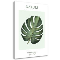 WANDBILD grünes blatt natur - Grün, Textil (40/60cm) - Feeby