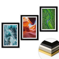 WANDBILDER 3er-Set - 20x30 cm Schwarzer Rahmen - Wasserbewegung Canyon grüner Wald - Schwarz, Kunststoff (20/30cm) - ArtPrintCave