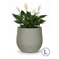 BLUMENTOPF Grau TERRA L 54x54x49 cm - Grau, Kunststoff (49cm) - Mazovia