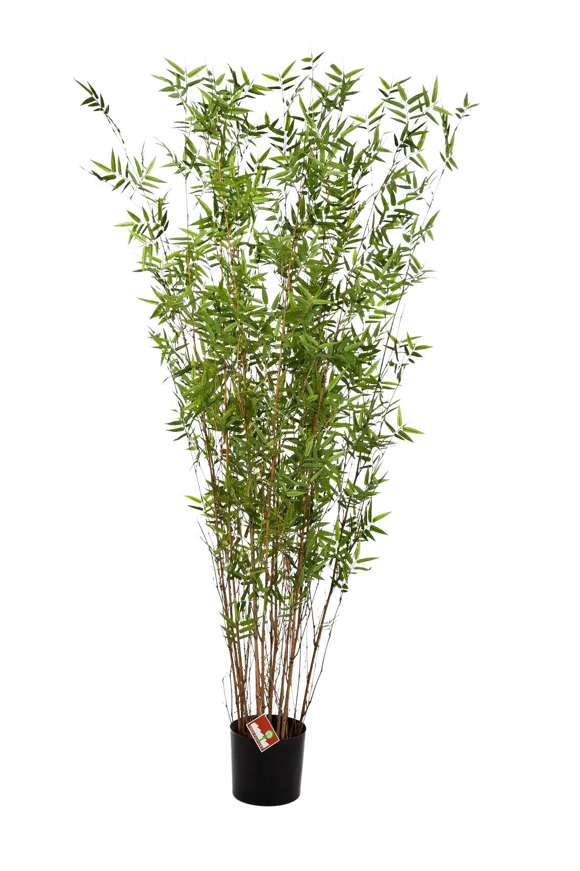 KÜNSTLICHER Bambus - Louis 220 cm - Grün, Kunststoff (220cm) - aplanta