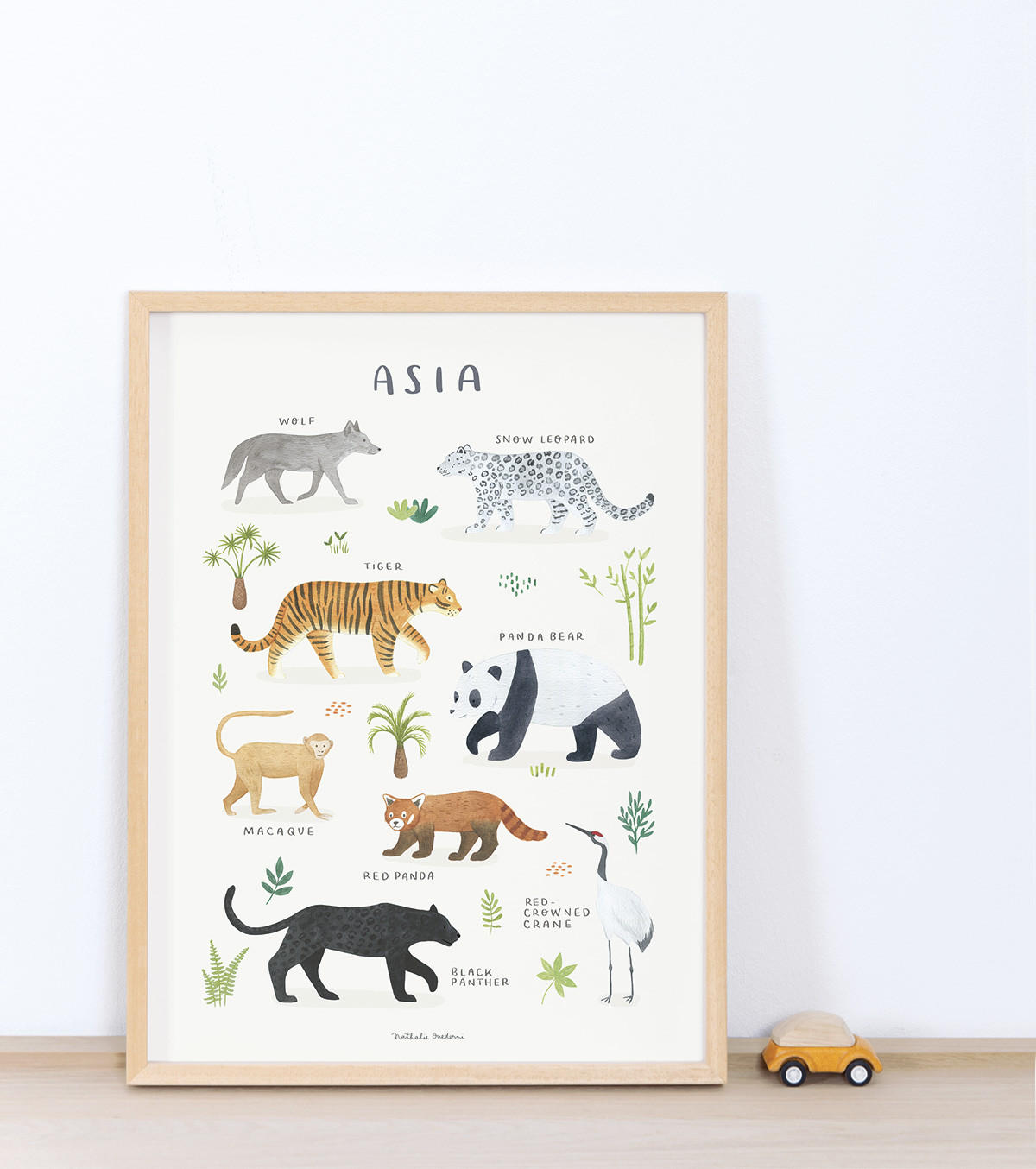 POSTER Tiere aus Asien, 30x40 cm - Beige/Multicolor, Papier (30/1/40cm) - Lilipinso