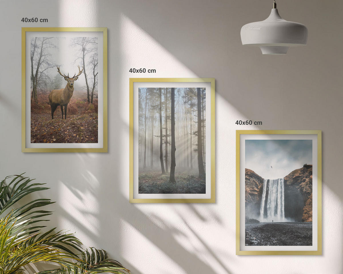 BILDER SET 3er Set - 40x60 cm Goldrahmen - Waldlandschaften, wilde Natur - Goldfarben, Kunststoff (40/60cm) - TULUP