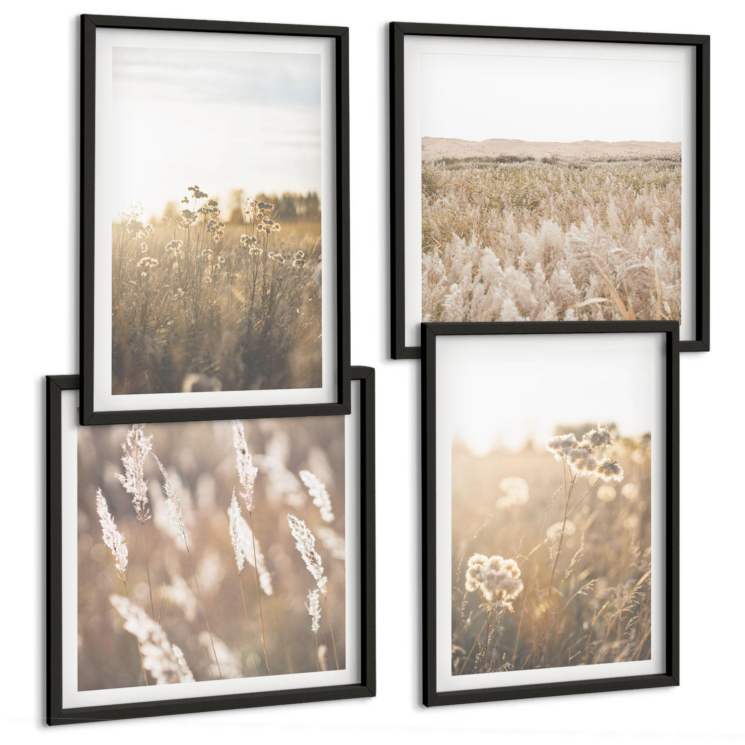 BILDER SET 4er Set - 50x50 cm & 40x60 cm Schwarzer Rahmen - Landschaftsgrasblumen Wärme - Schwarz, Kunststoff (50/50cm) - TULUP
