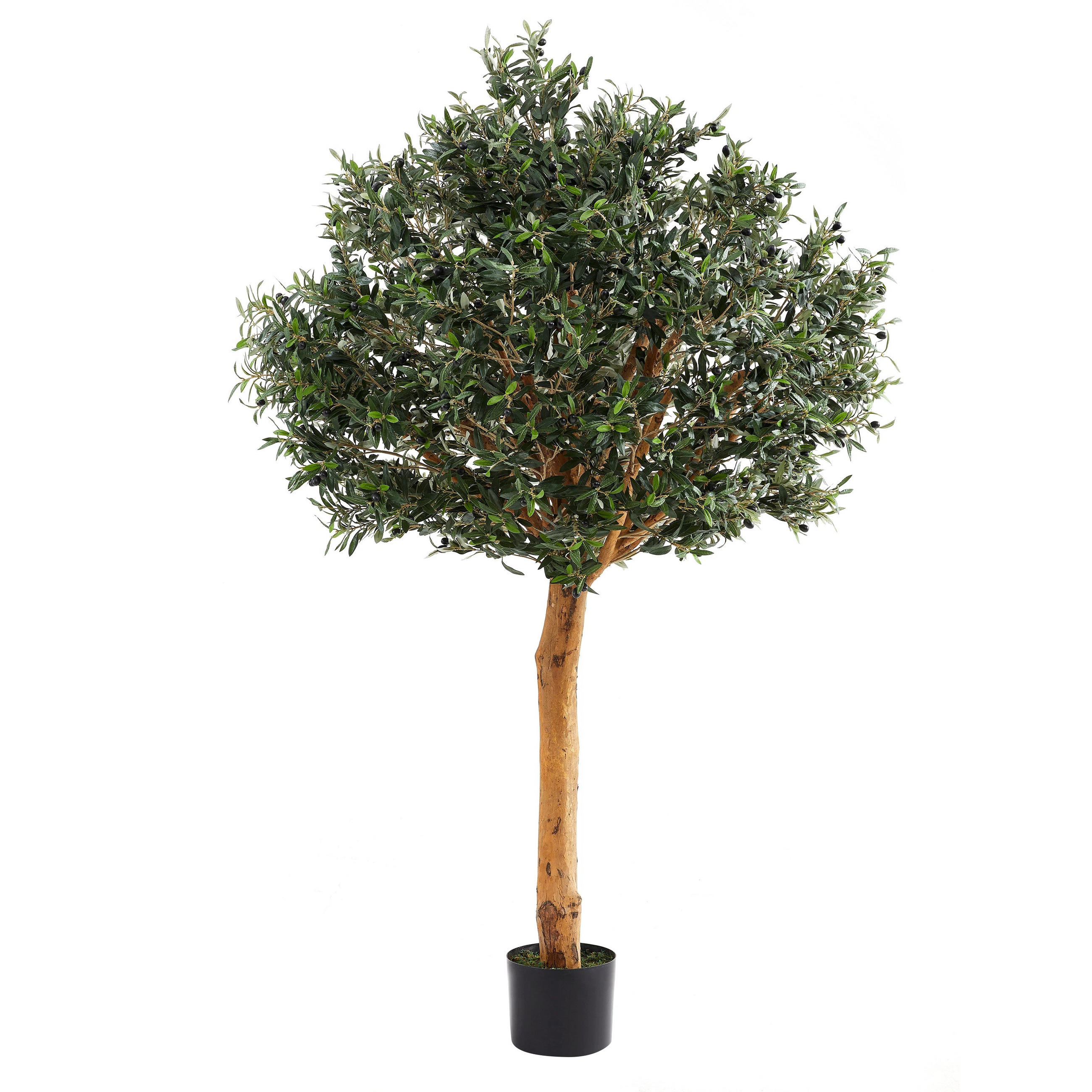 KUNSTBAUM Künstlicher Olivenbaum – Eleutherios 210 cm - Grün, Kunststoff (210cm) - aplanta
