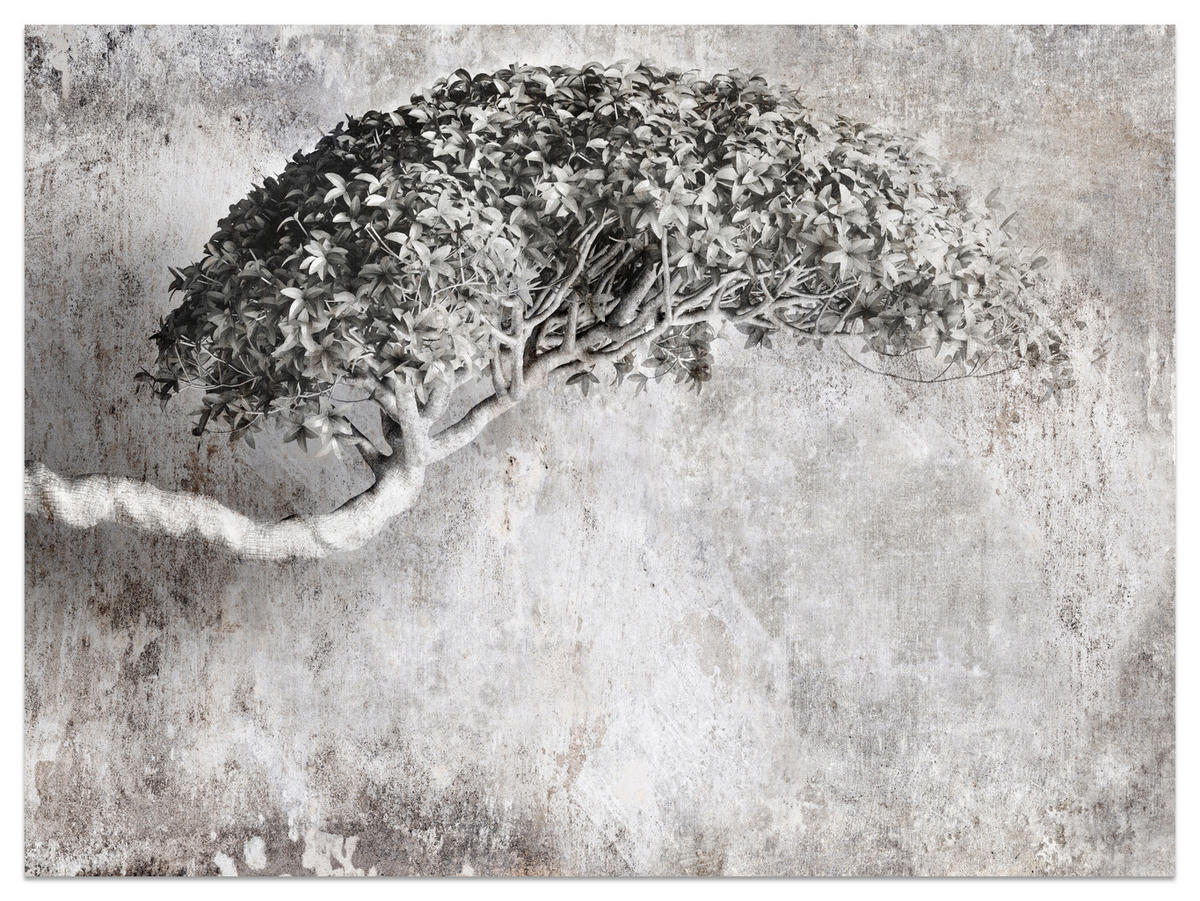 FOTOTAPETE Abstrakter Baum Beton Vintage Grau Blätter Natur 500x350 - Schwarz/Grau, Papier (500/350cm) - Muralo