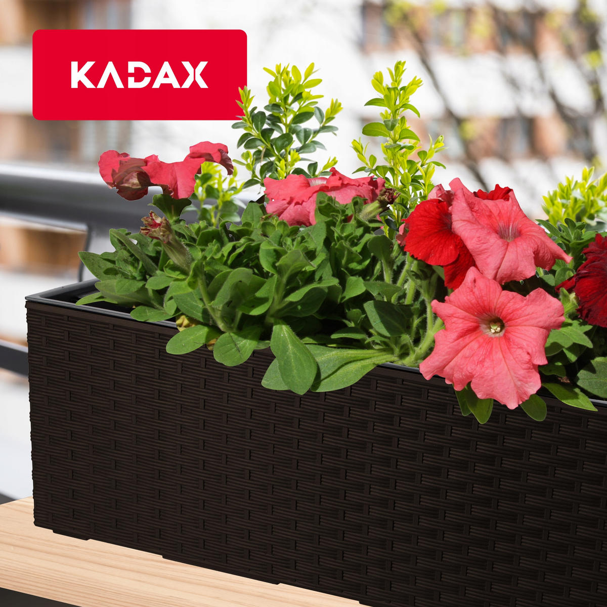BLUMENKASTEN mit Einsatz 56 cm, Mokka - Mokka, Kunststoff - KADAX