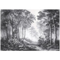 FOTOTAPETE Wald 3D Effekt Wohnzimmer Schwarz Weiß Vlies Tapete 150x105 - Multicolor, Papier (150/105cm) - Wallarena