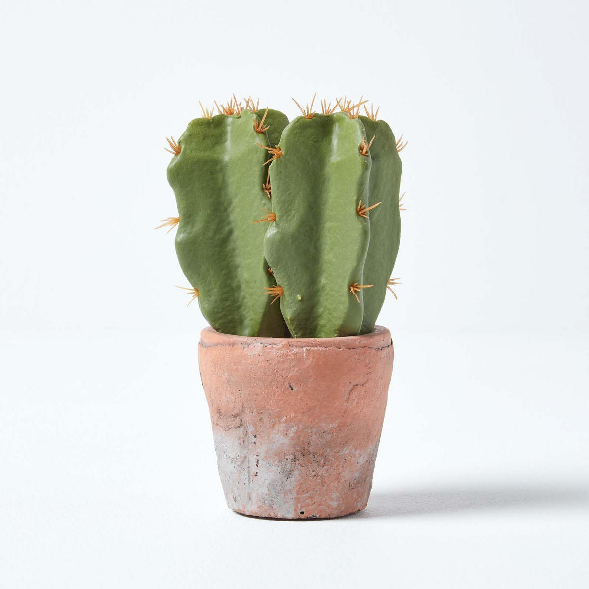 KUNSTPFLANZE Kaktus im Terrakotta-Topf, 17 cm - Grün, Kunststoff (17cm) - Homescapes