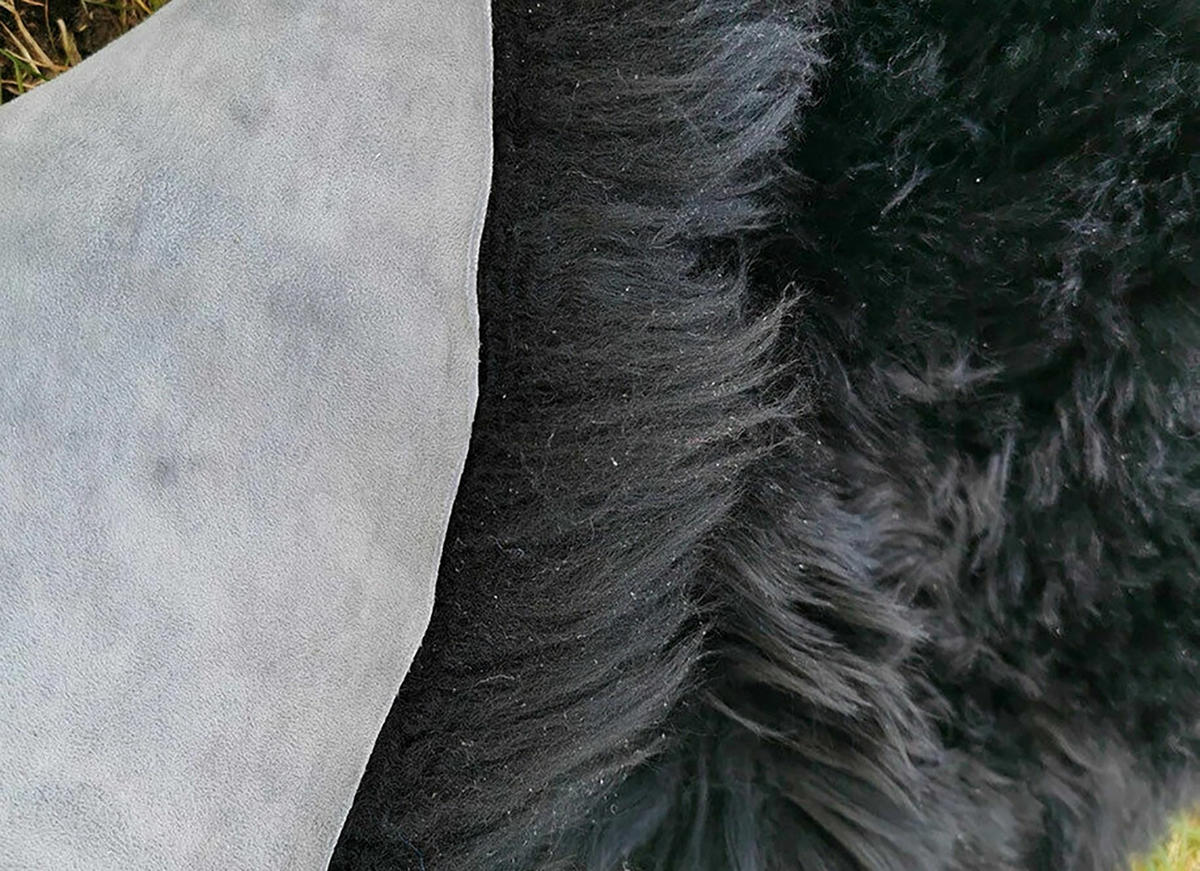 LAMMFELL Öko bunt gefärbt weich Fell Teppich Anthrazit ca. 90 cm - Schwarz, Fell (50/90cm) - Provellus