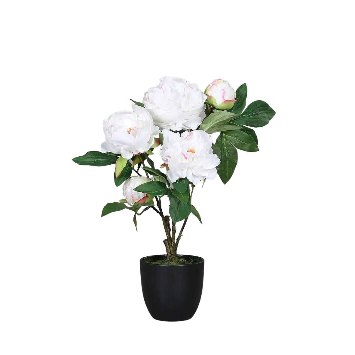 PFINGSTROSEN Künstliche Pfingstrose - Davide 45 cm - Creme, Kunststoff (45cm) - aplanta