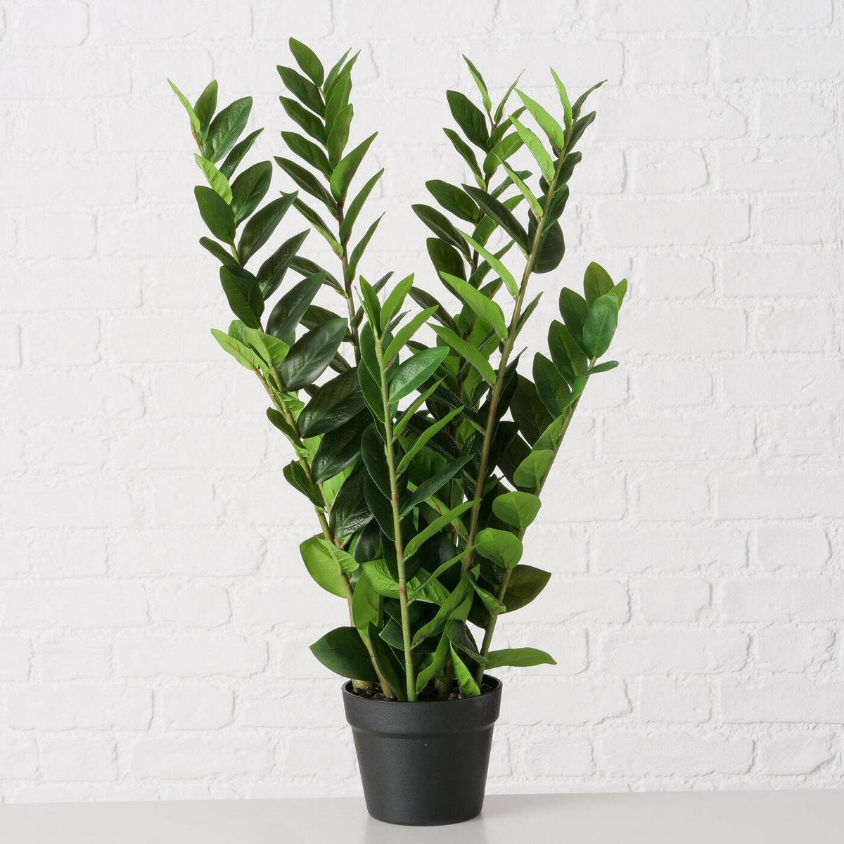 KUNSTPFLANZE Zamioculcas 76 cm - Grün, Kunststoff (76cm) - Boltze Home