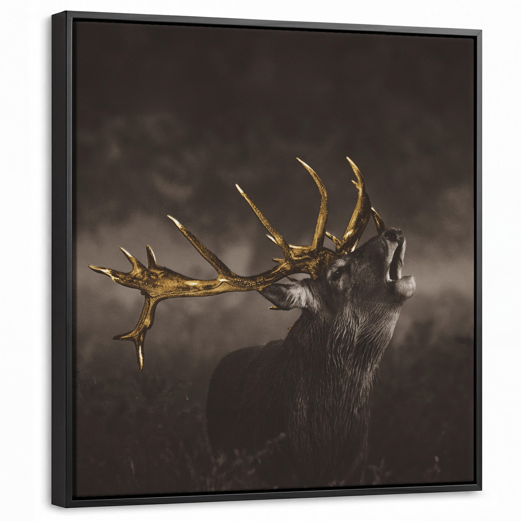 MuchoWow Leinwand Braun 50x50 cm