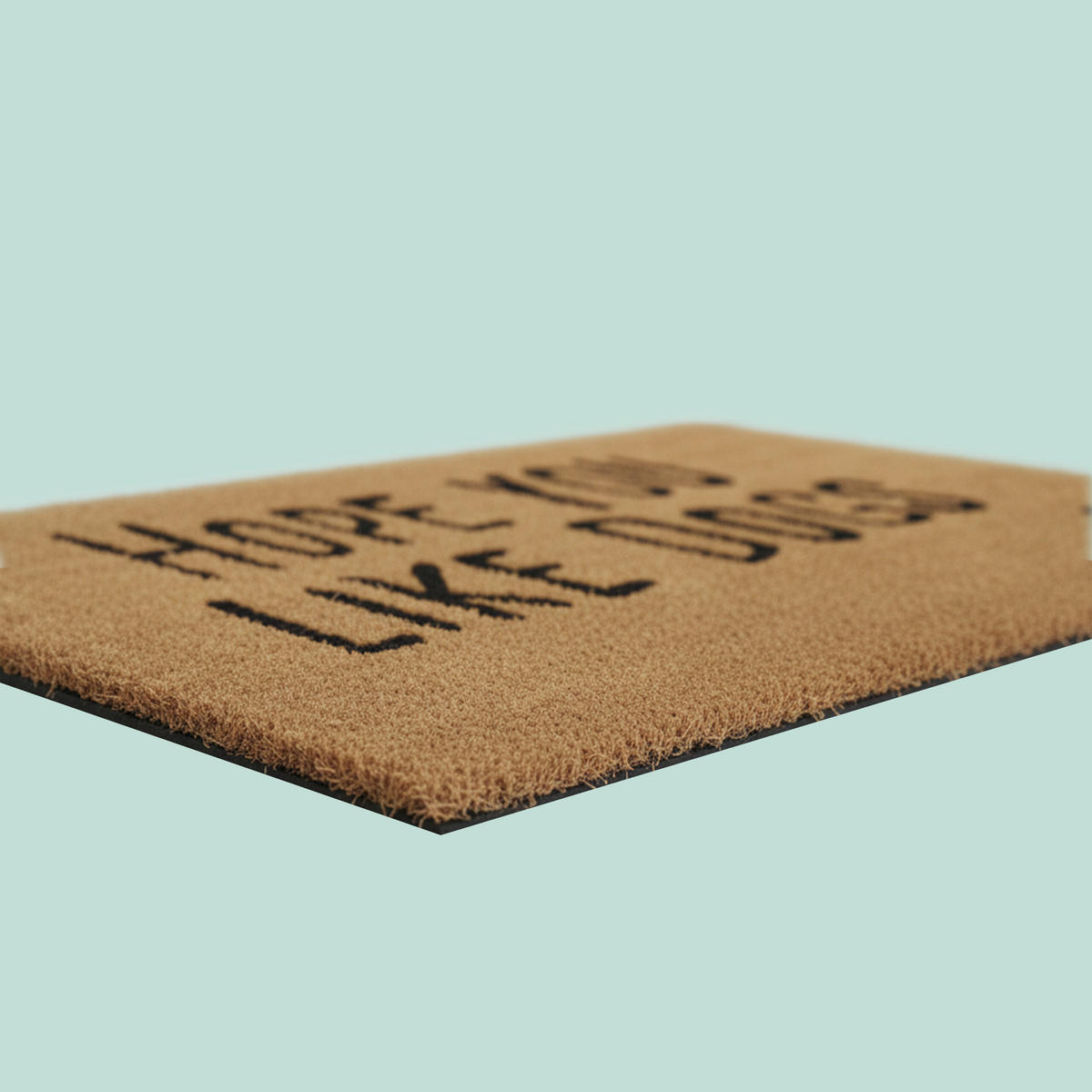 FUSSMATTE - Hellbraun, Kunststoff/Textil (80/50cm) - Relaxdays