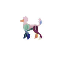 DEKOTIER Pudel, Bastel-Set, 3D Wandobjekt, Studio ROOF - Naturfarben, Karton (9.7/3/9.9cm) - ich-zapfe