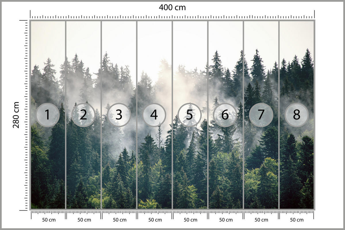 FOTOTAPETE für Wohnzimmer Nebeliger Nadelwald Berg Mystik Bäume 400x280 - Weiß/Grün, Papier (400/280cm) - Muralo
