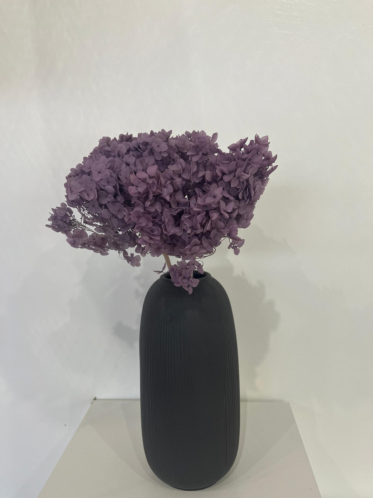 RISPENHORTENSIE: Zeitlose Schönheit, konservierte Hortensien als perfekte Dekoration - blau / 30 cm - Blau, Naturmaterialien (30cm) - Lykke & You