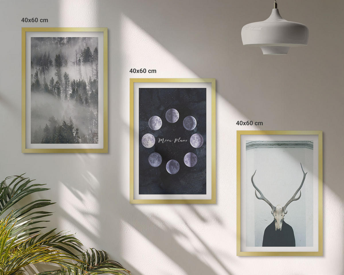 BILDER SET 3er Set - 40x60 cm Goldrahmen - Waldlandschaft, Nebel, Mond, Hirschschädel - Goldfarben, Kunststoff (40/60cm) - TULUP