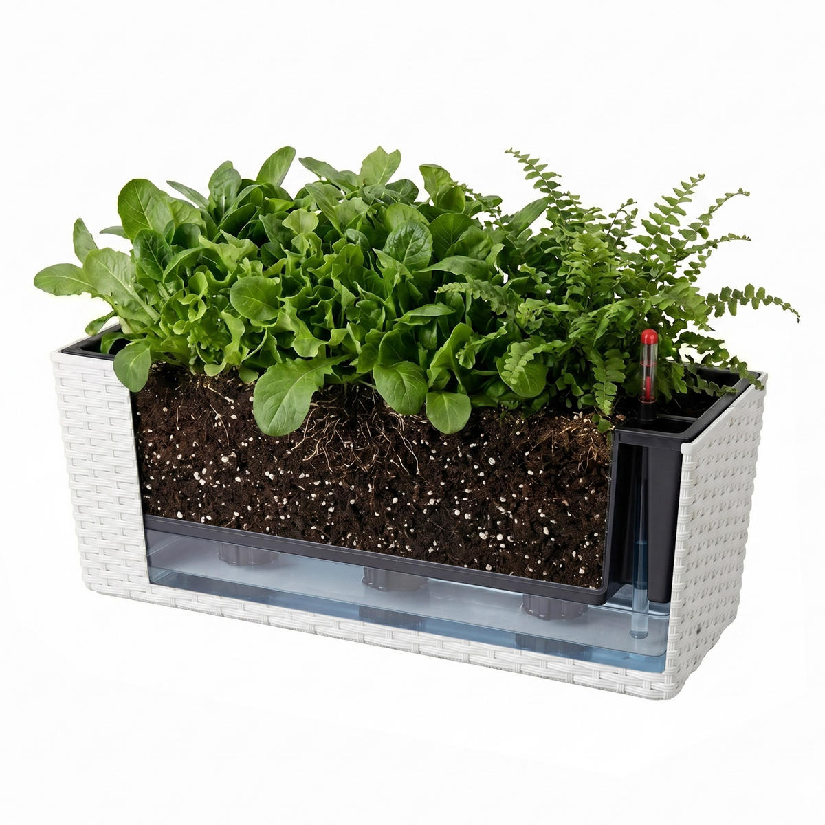 JARDINIERĂ Albă cu suport autoirigare - alb, material plastic/metal (50/19/19cm) - Relaxdays