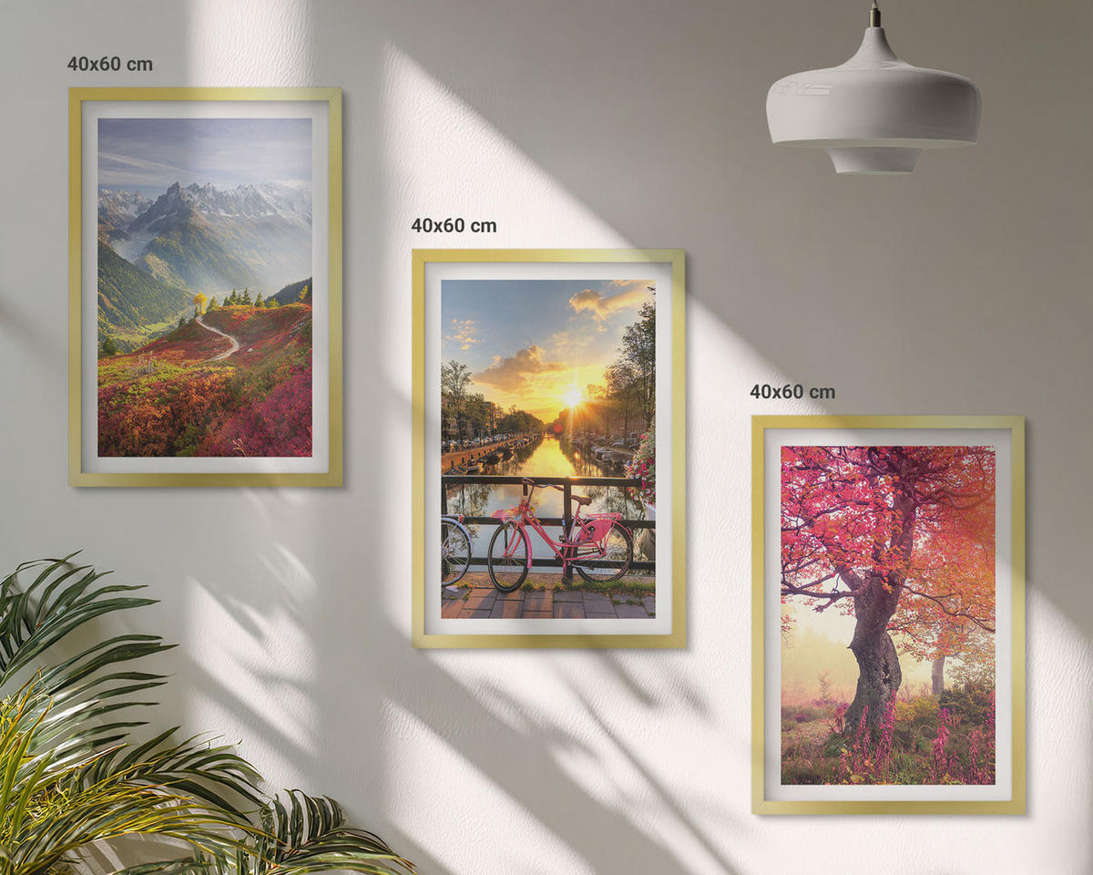 BILDER SET 3er Set - 40x60 cm Goldrahmen - Berglandschaften mit dem Fahrrad - Goldfarben, Kunststoff (40/60cm) - TULUP