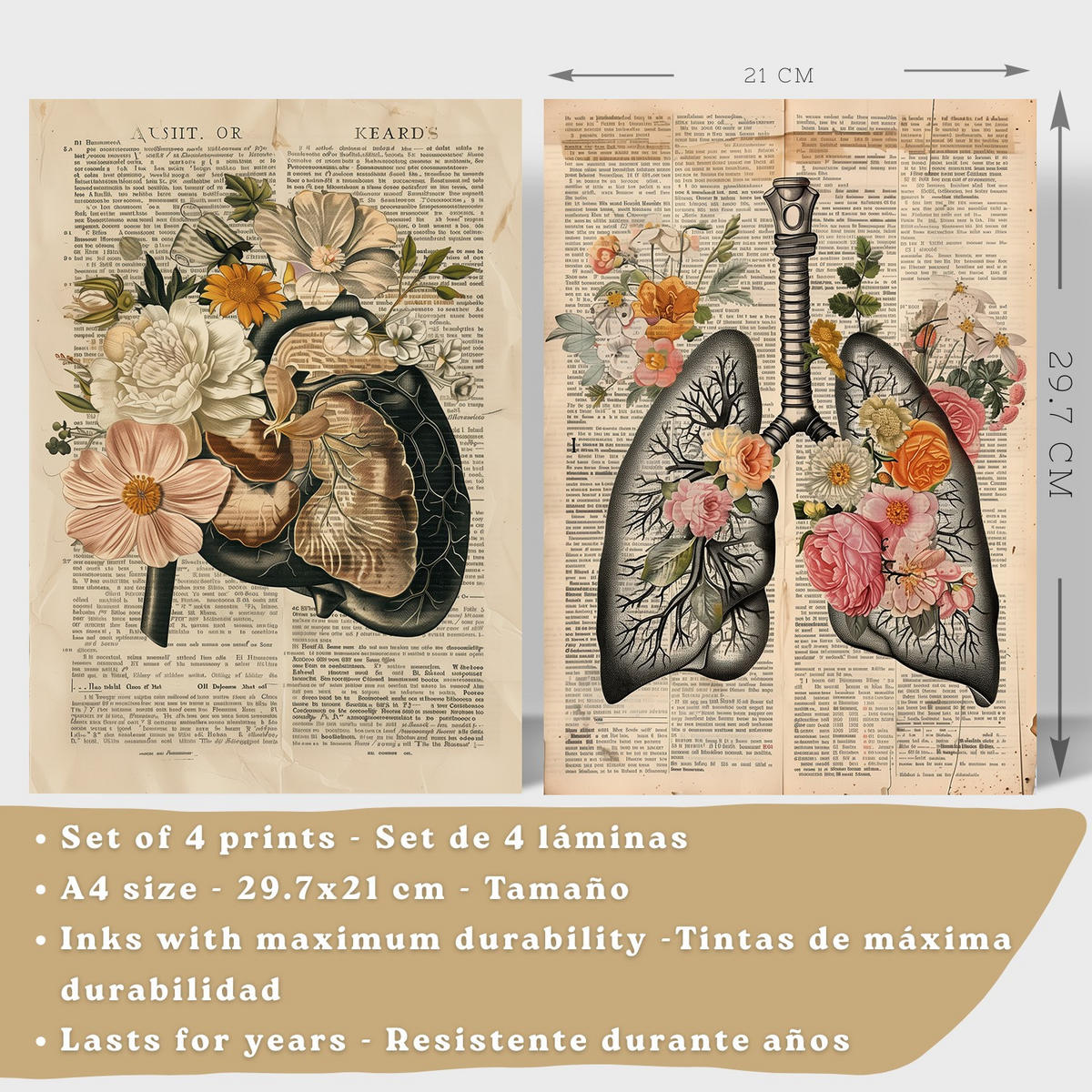 POSTER Set aus 4 Anatomie Drucke und Wandbilder mit Leber Lungen Atmungssystem Skelett Schädel Wirbelsäule Vintage Zeitungsstil Größe Rahmenlos A4 - Klar, Papier (21/29.7/3cm) - Nacnic