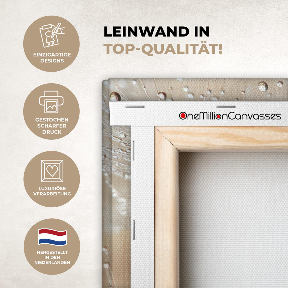LEINWANDBILD Löwenzahn - Abstrakt - Natur - Beige Wandbilder 80x60 cm - Braun, Textil (80/60cm) - MuchoWow