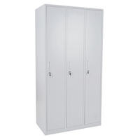 SCHLIESSFACH Grau - Grau, Metall (90/180/50cm) - MCW