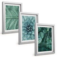 BILDER SET 3er Set - 20x30 cm Silberner Rahmen - Nahaufnahme von Pflanzenblättern - Silberfarben, Kunststoff (20/30cm) - TULUP