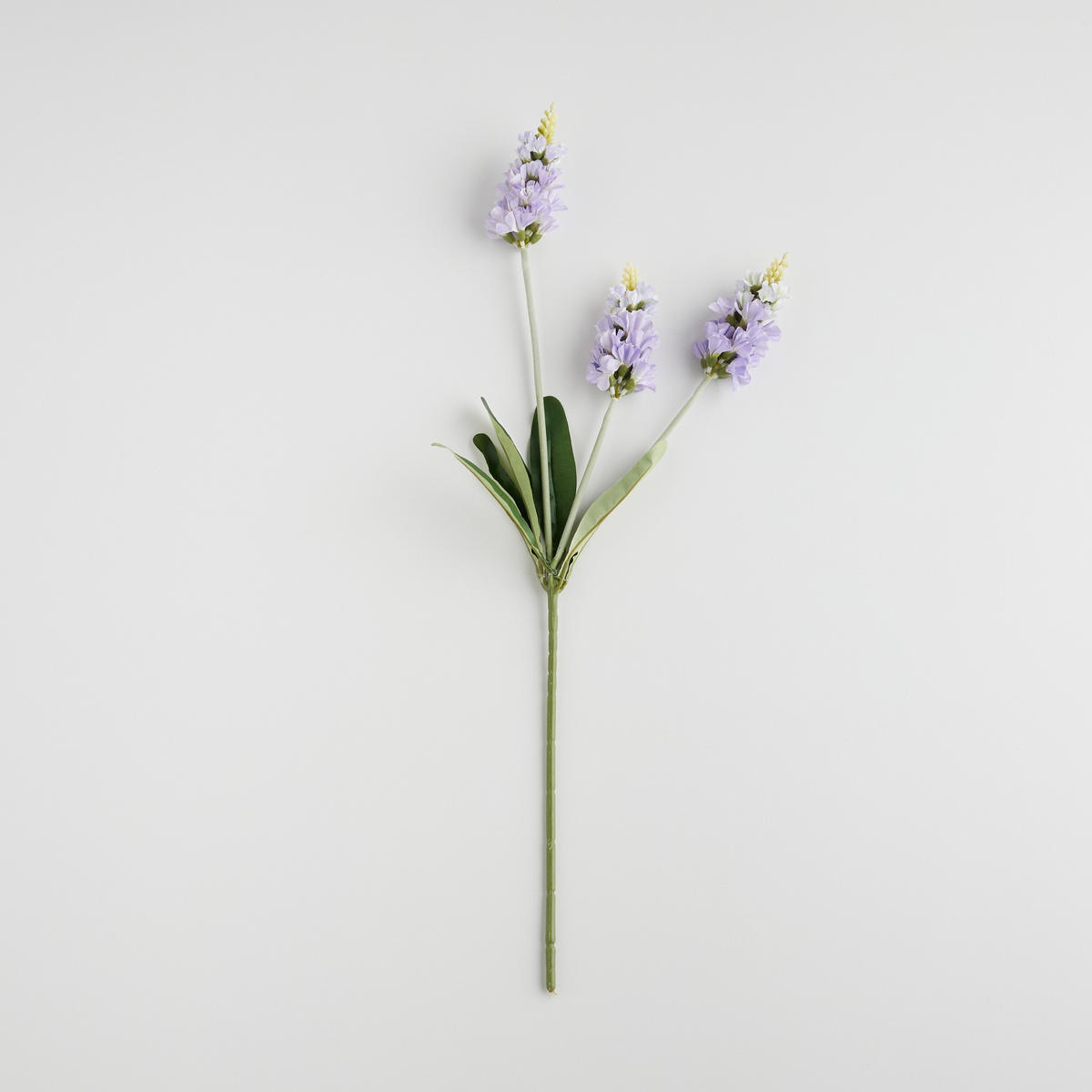 BLUME Prestis - Violett, Textil (68cm) - home&you
