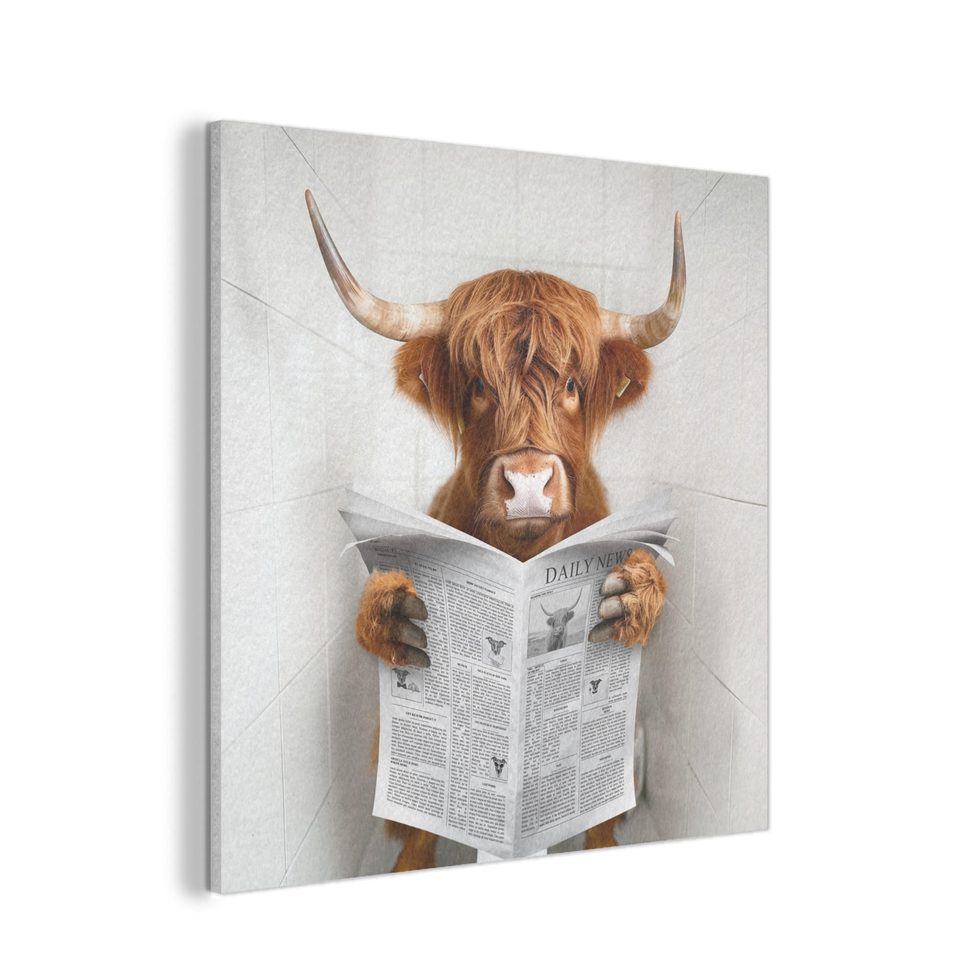 AKUSTIKPANEEL Schottisches Hochlandrind - Tier - Zeitung - Toilette 90x90 cm - Kastanienfarben, Textil (90/0.9/90cm) - MuchoWow