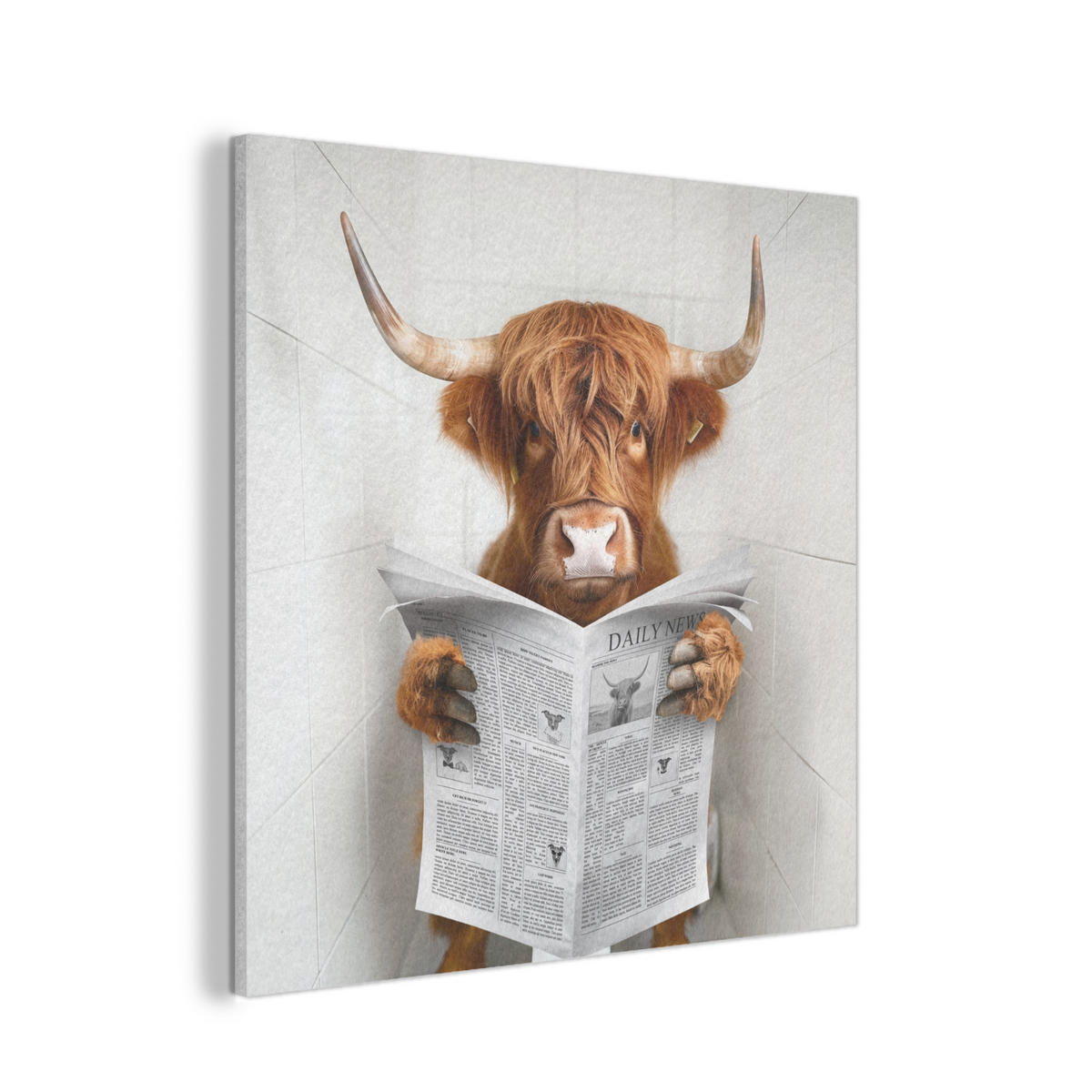 AKUSTIKPANEEL Schottisches Hochlandrind - Tier - Zeitung - Toilette 90x90 cm - Kastanienfarben, Textil (90/0.9/90cm) - MuchoWow