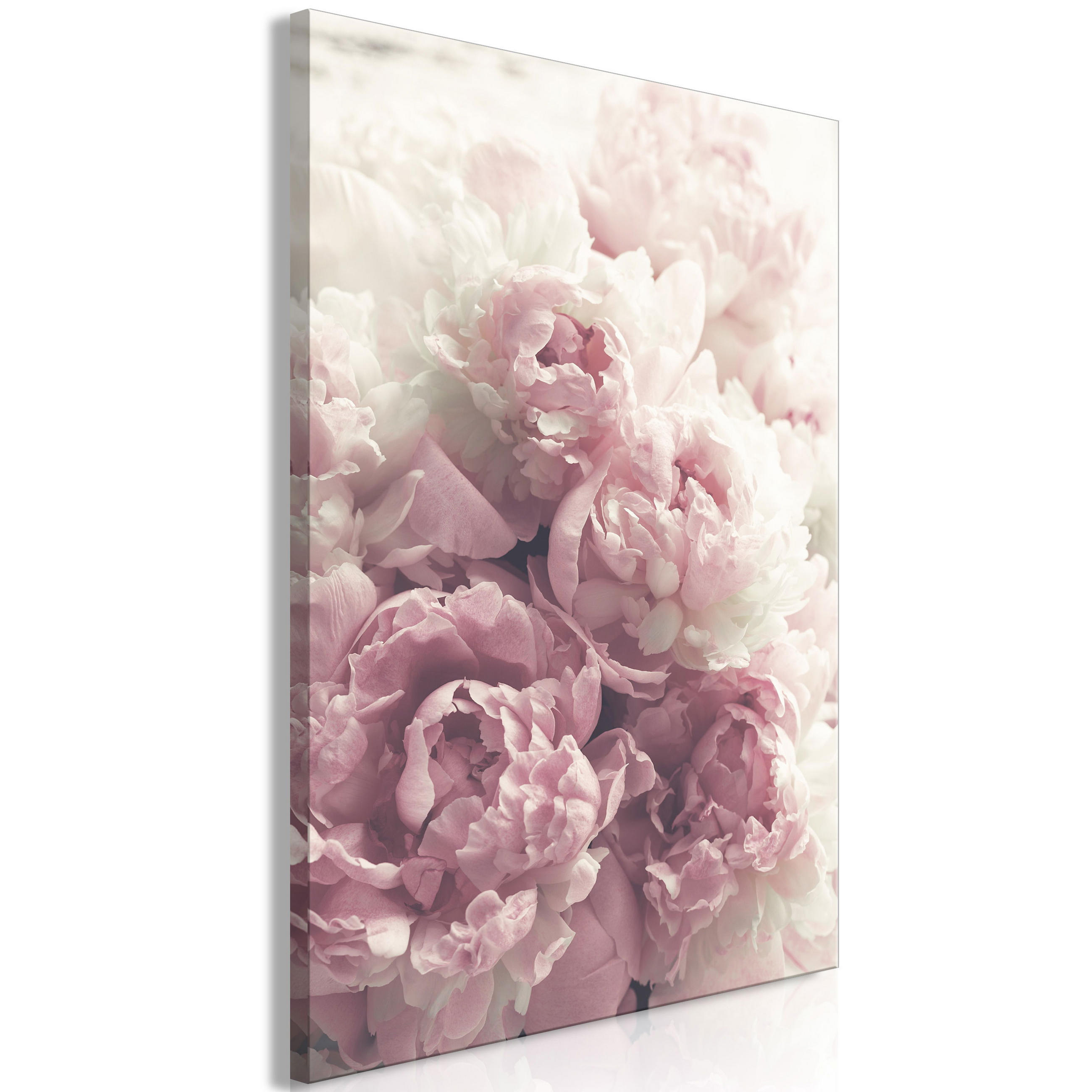KUNSTDRUCK Rosa 40/60 cm - Pink/Weiß, Textil (40/60cm) - KUNSTLOFT