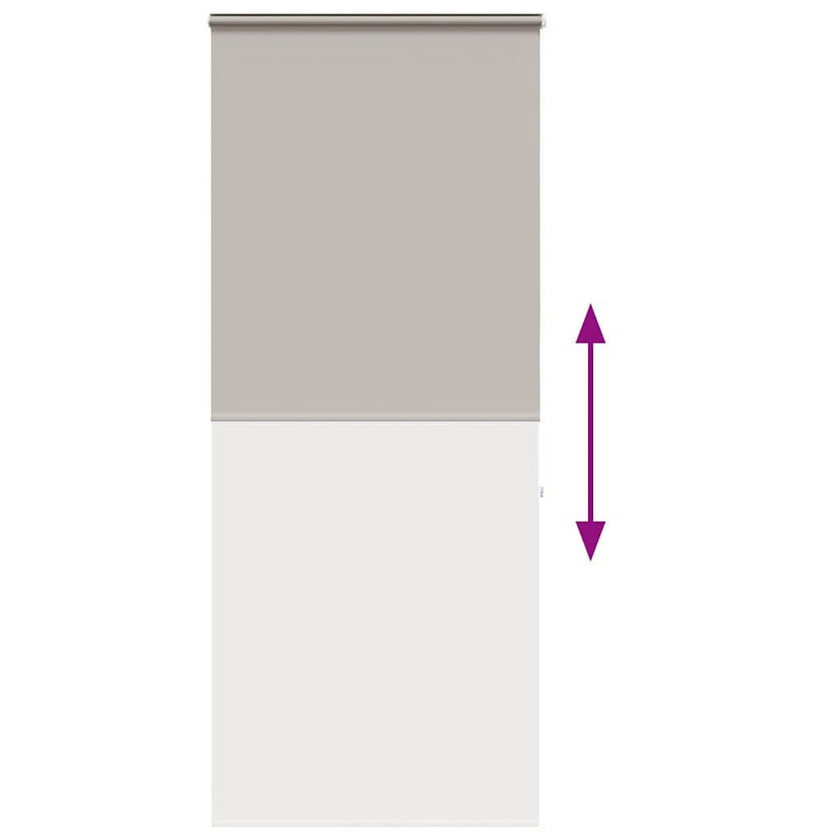 ROLLO für die Dusche 100/240 cm Stoffbreite 96 cm aus PEVA Hellgrau - Hellgrau, Kunststoff (100/240cm) - vidaXL