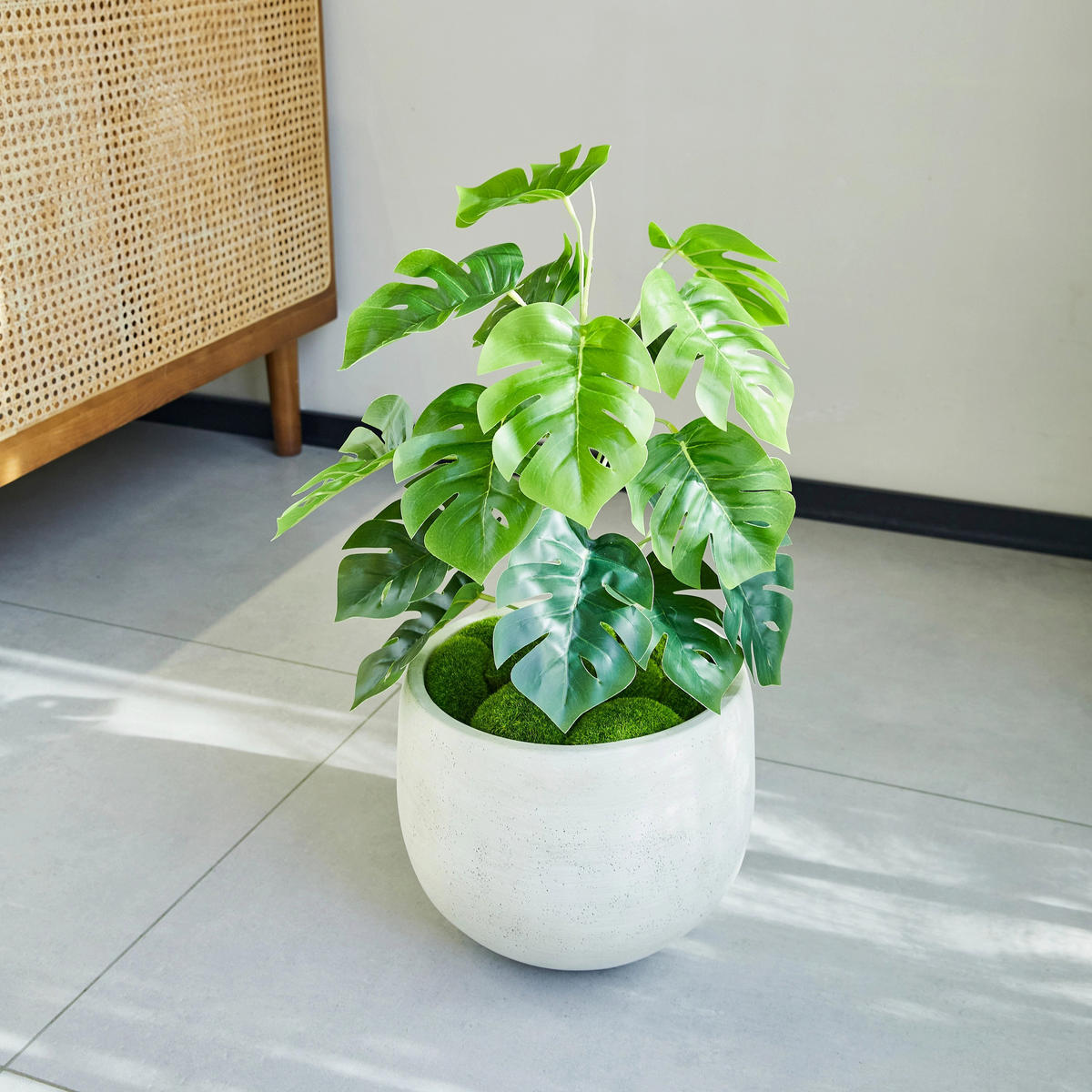 KUNSTPFLANZE Künstlicher Monstera – Alenia 50 cm - Grün, Kunststoff (50cm) - aplanta