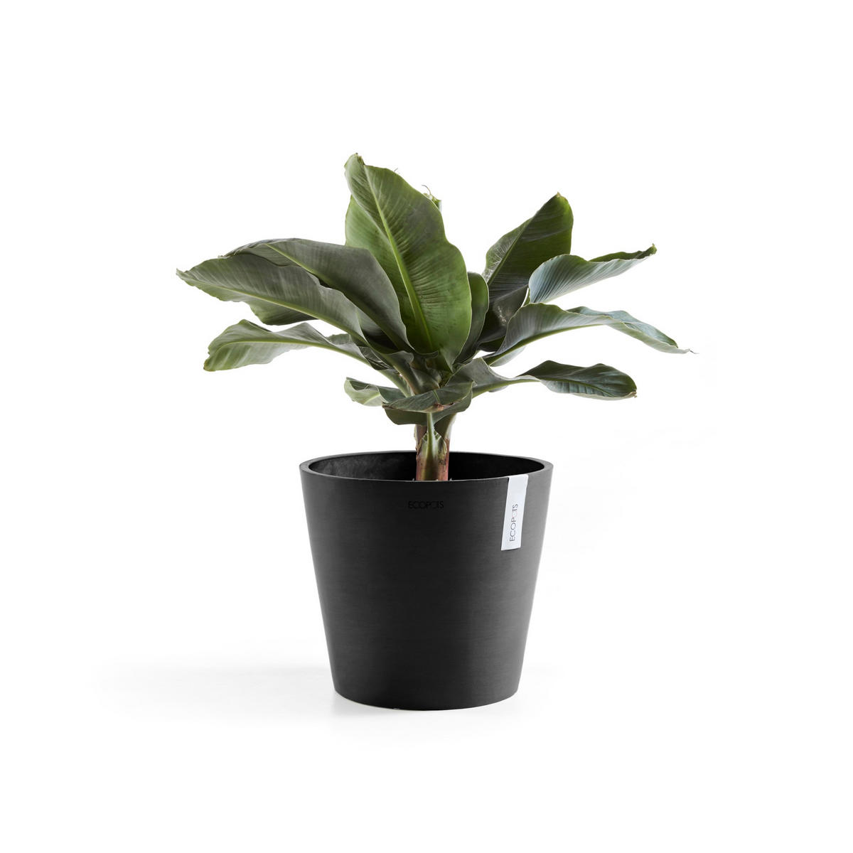 BLUMENTOPF Amsterdam 30/25,4 cm Dunkelgrau - Dunkelgrau, Kunststoff (30/25.4cm) - Ecopots