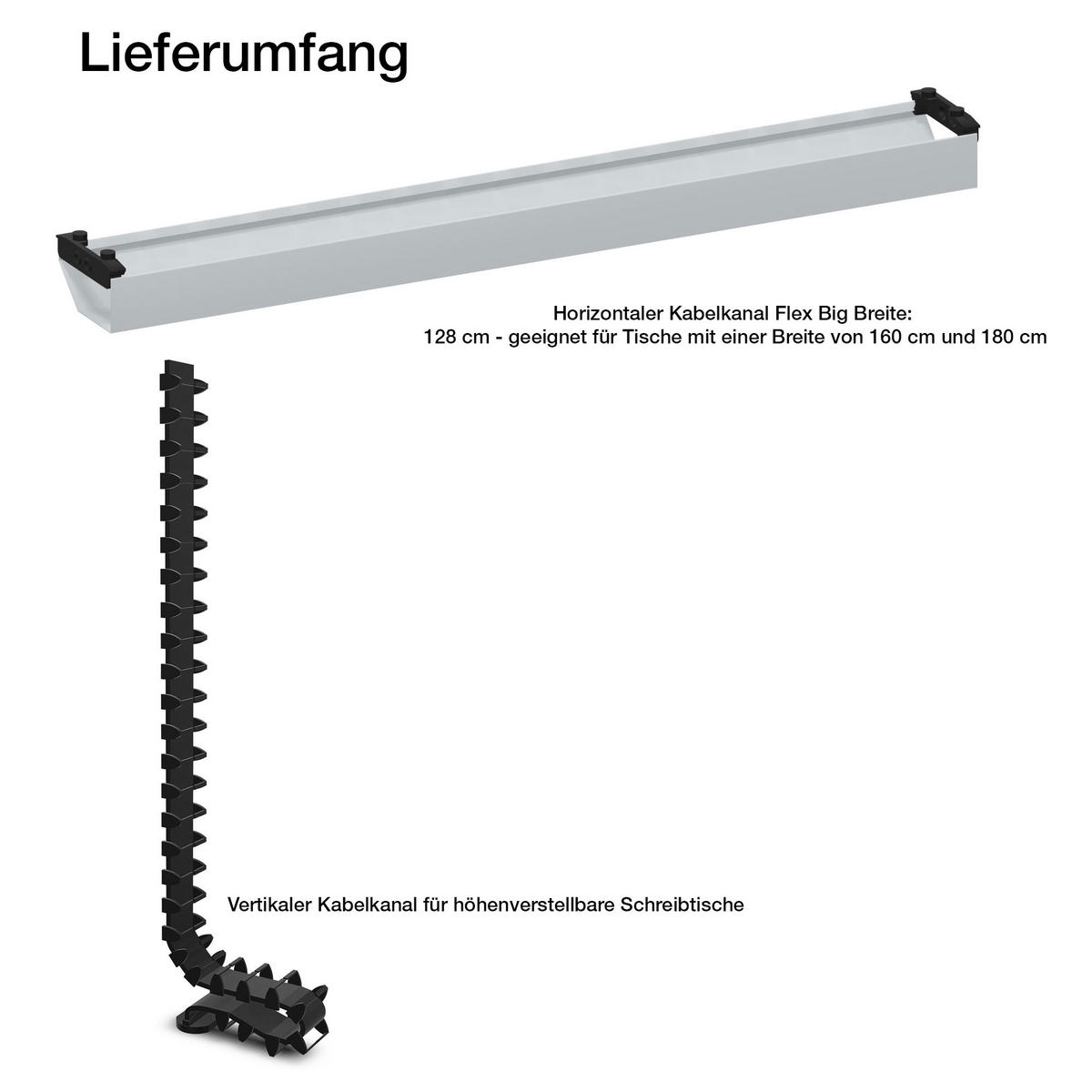KABELMANAGEMENT-SET Horizontaler Kabelkanal Flex-big + Vertikale Kabelführung / Plus Vertikale Kabelführung Weißaluminium 1280mm - Silberfarben, Metall (16/128/10cm) - ASSMANN