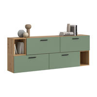 WOHNWAND The One Smoke Green 176/34/97 cm - Braun, Holzwerkstoff (176/97/34cm) - Xonox