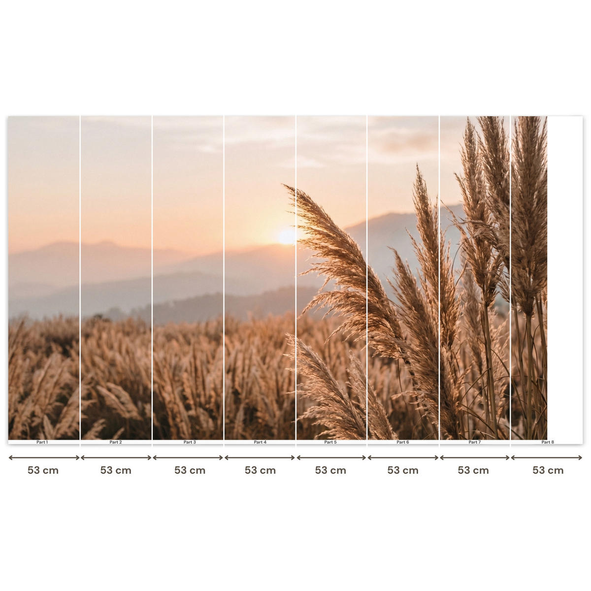 TAPETE - Gras - Feld - Sonne - Natur - 450x260 cm - Sandfarben, Papier (450/260cm) - OnlyWow