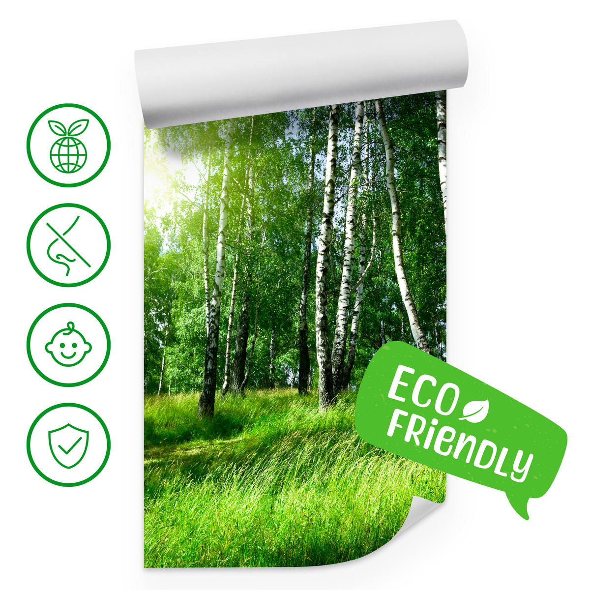 FOTOTAPETE für Wohnzimmer Grüner Birkenwald Gras Sonne Natur 200x140 - Schwarz/Weiß, Papier (200/140cm) - Muralo