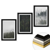 WANDBILDER 3er-Set - 20x30 cm Schwarzer Rahmen - Grüne Wälder Nebel Natur - Schwarz, Kunststoff (20/30cm) - ArtPrintCave