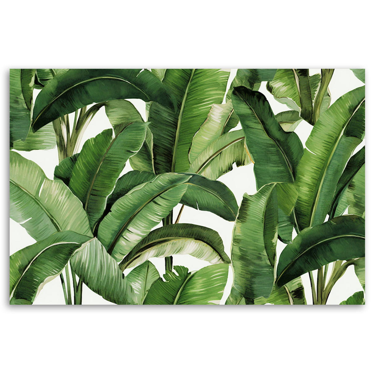 KUNSTDRUCK Grün 60/40 cm - Grün, Textil (60/40cm) - KUNSTLOFT