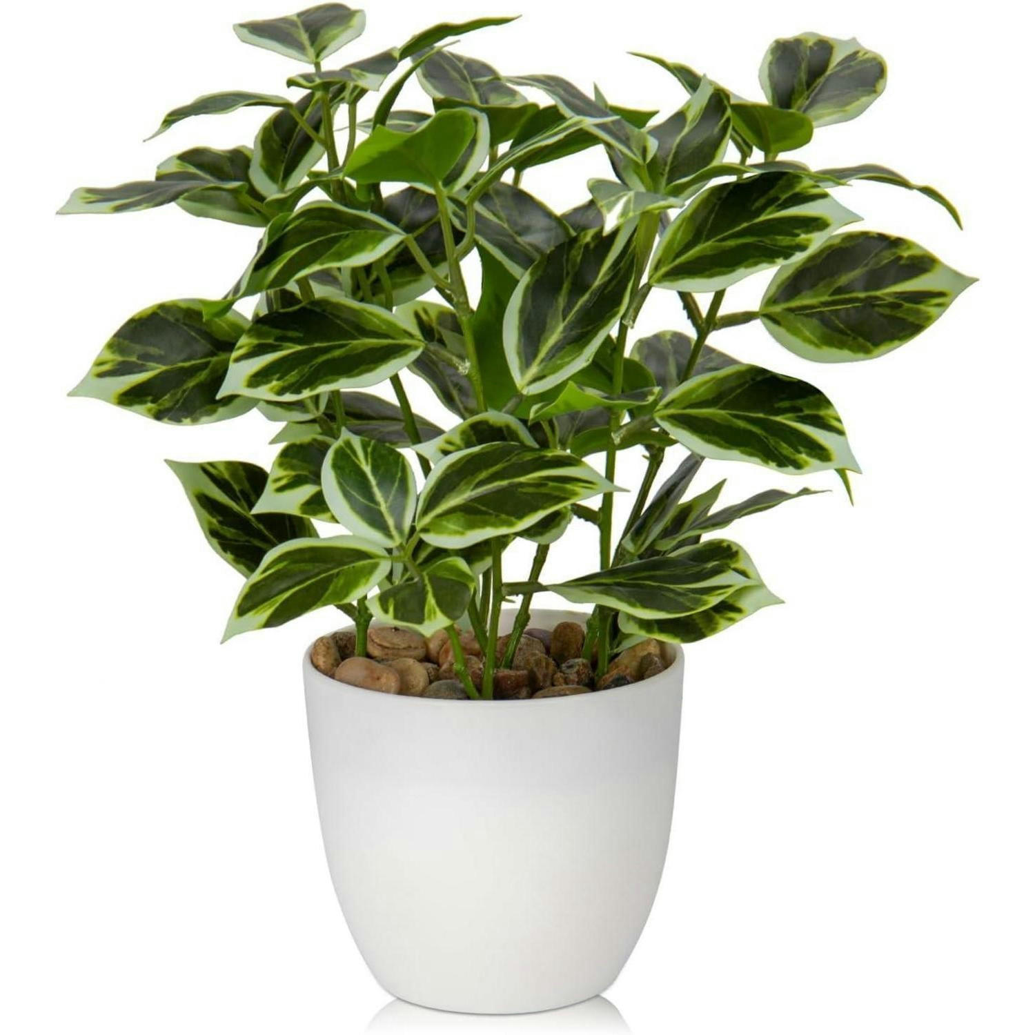 KUNSTPFLANZE Ficus 25 cm Weiß - Multicolor, Kunststoff (25cm)
