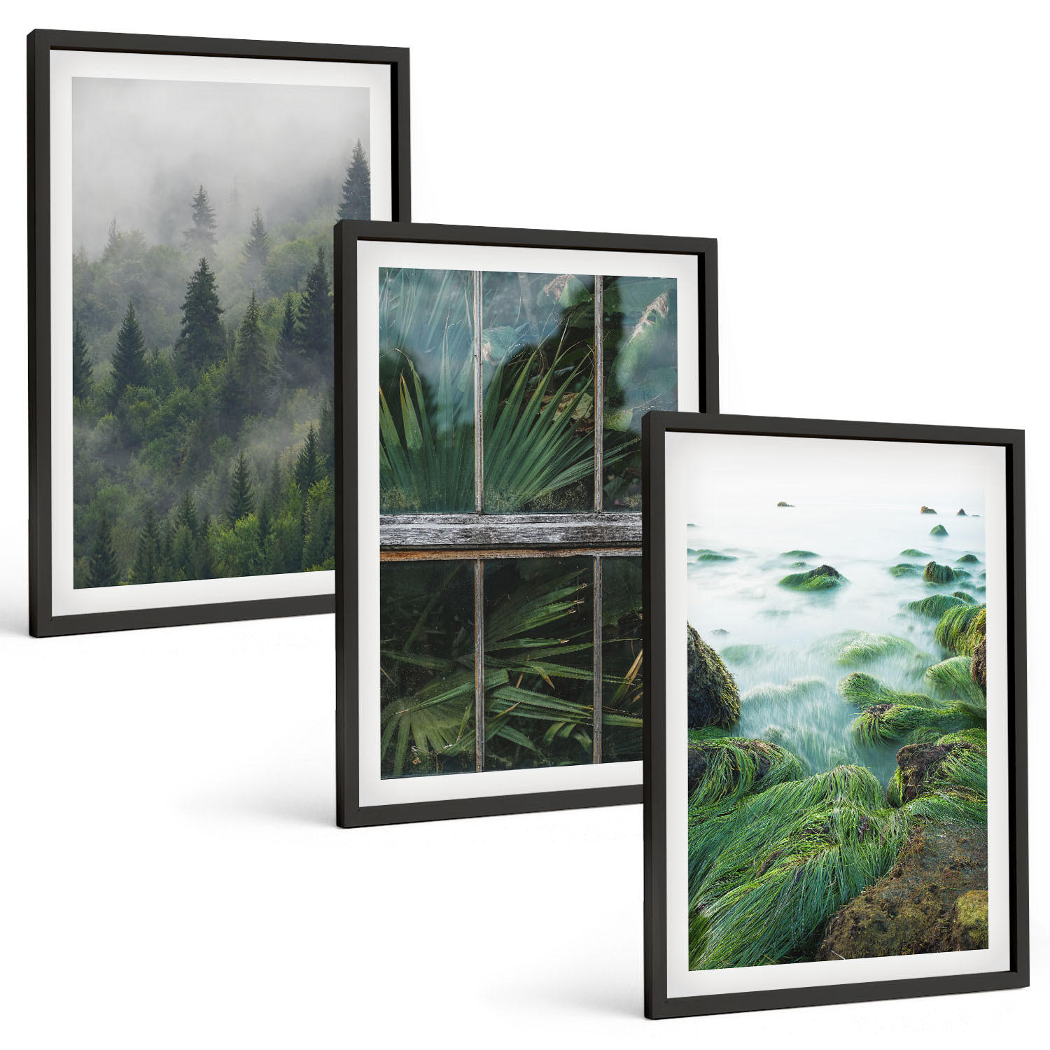 BILDER SET 3er Set - 40x60 cm Schwarzer Rahmen - Waldnebel, Flussufer, Gewächshaus - Schwarz, Kunststoff (40/60cm) - TULUP