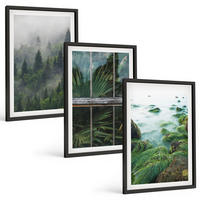 BILDER SET 3er Set - 40x60 cm Schwarzer Rahmen - Waldnebel, Flussufer, Gewächshaus - Schwarz, Kunststoff (40/60cm) - TULUP